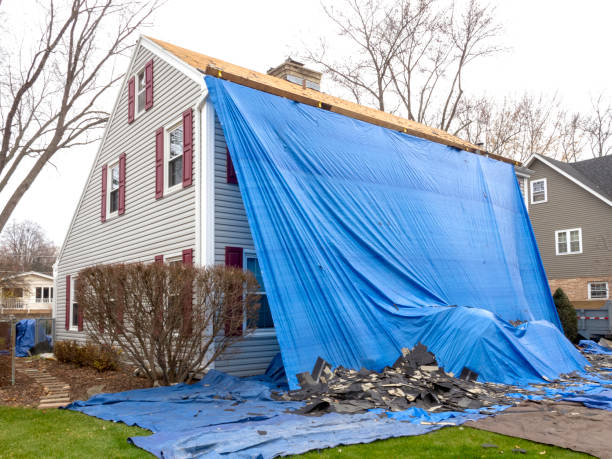 Best Demolition Debris Removal  in Elkins, WV
